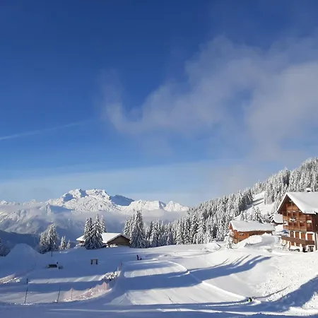 La Belle Etoile